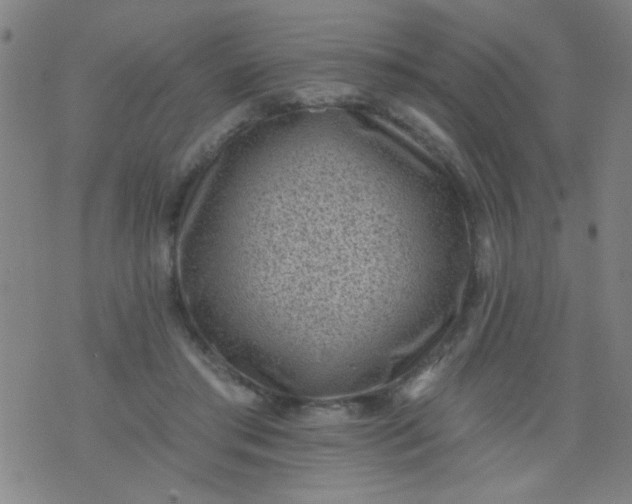 X0000076100405200610061712