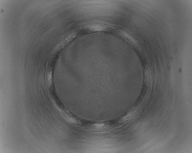 X0000076100406200610061712