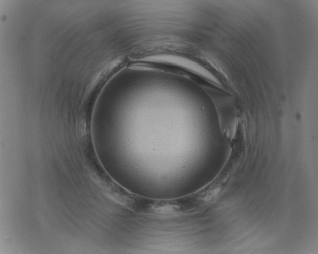 X0000076100407200610061712