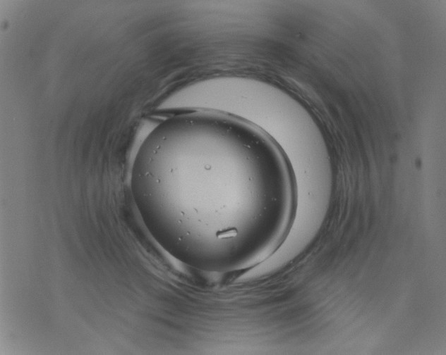 X0000076100409200610061711