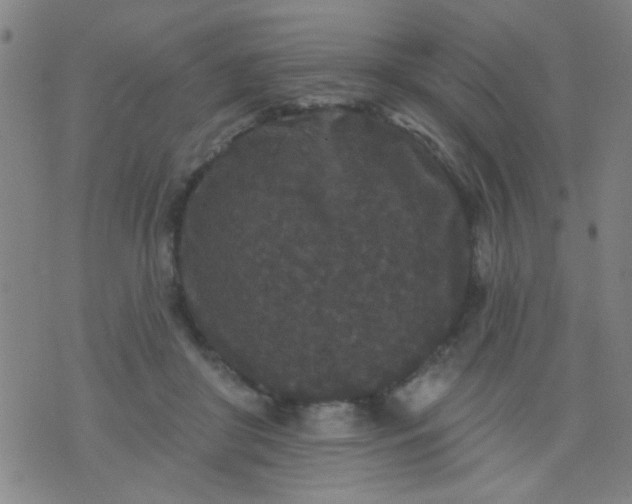 X0000076100410200610061711