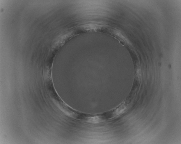 X0000076100411200610061711