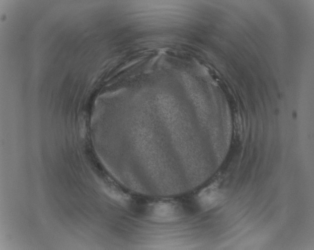 X0000076100412200610061711