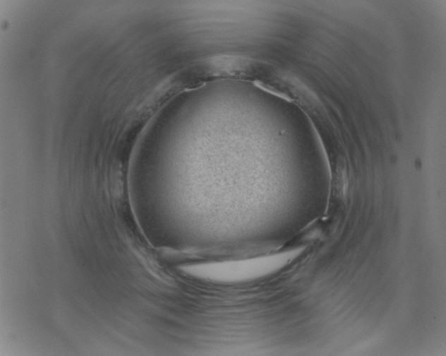 X0000076100413200610061711