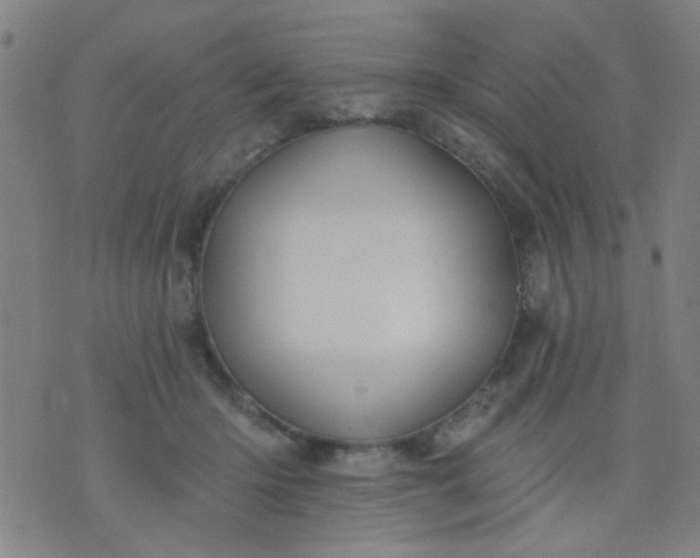 X0000076100414200610061711