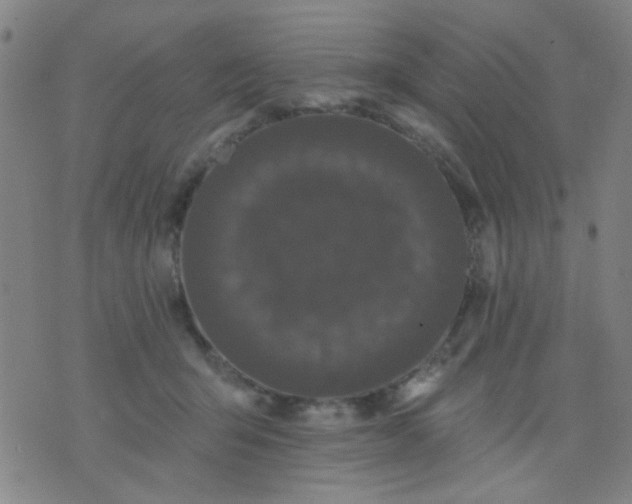 X0000076100415200610061711