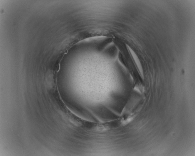 X0000076100416200610061711