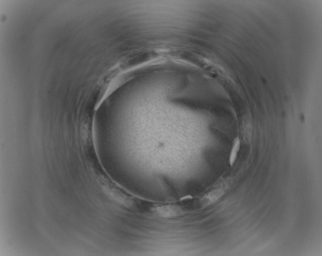 X0000076100417200610061711