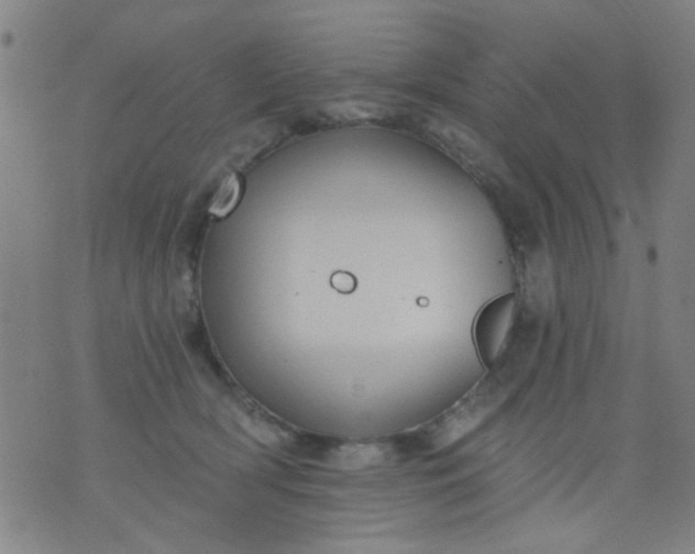 X0000076100418200610061711