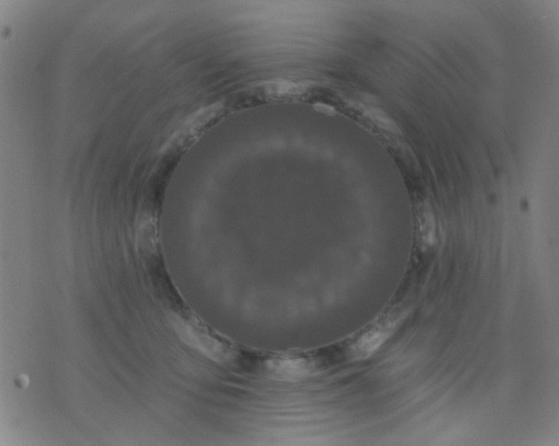 X0000076100419200610061711