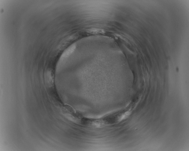 X0000076100420200610061711