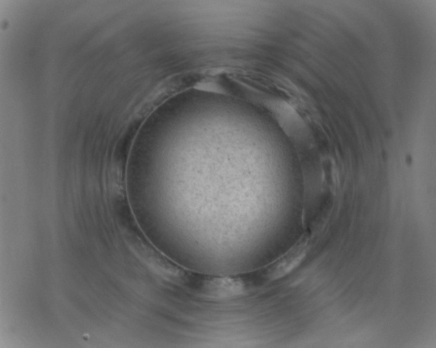 X0000076100421200610061711