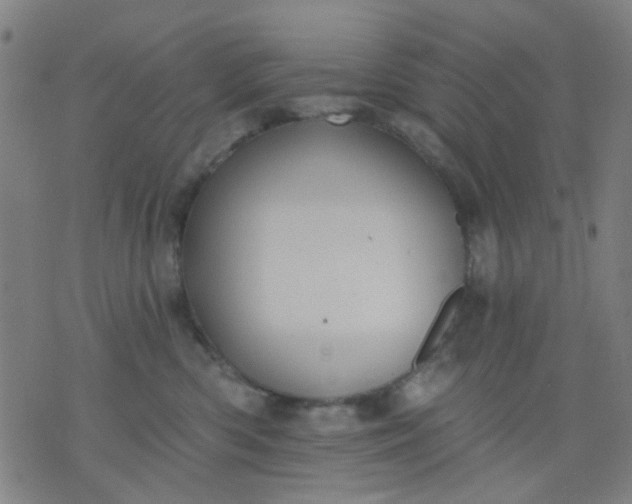 X0000076100426200610061711