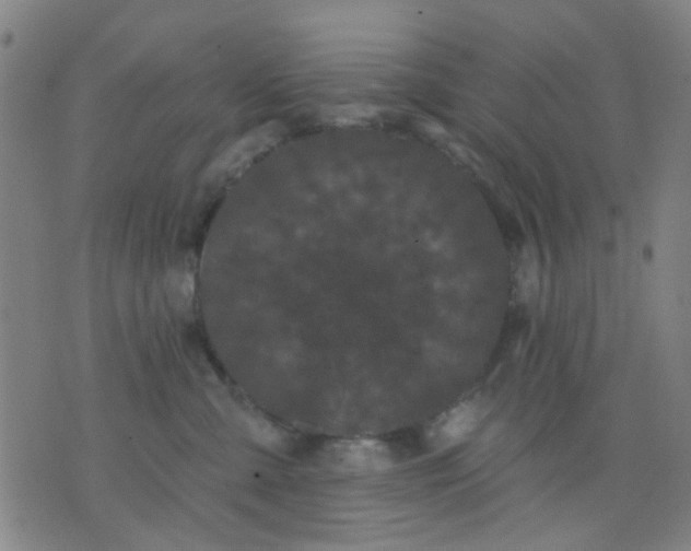 X0000076100427200610061711