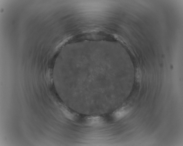 X0000076100428200610061711