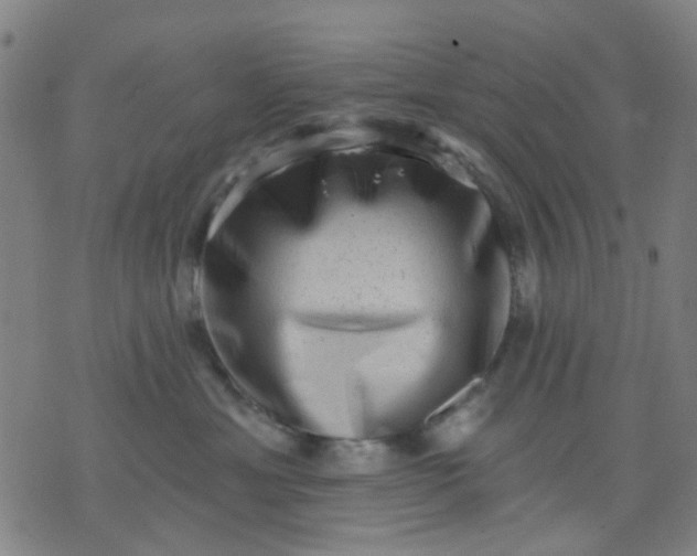 X0000076100429200610061711