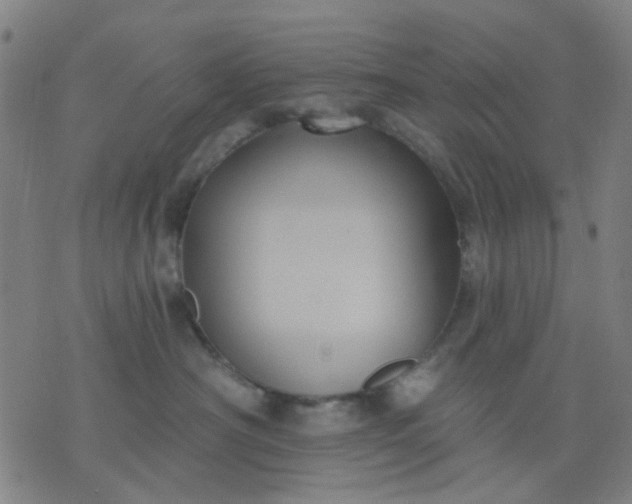 X0000076100430200610061711