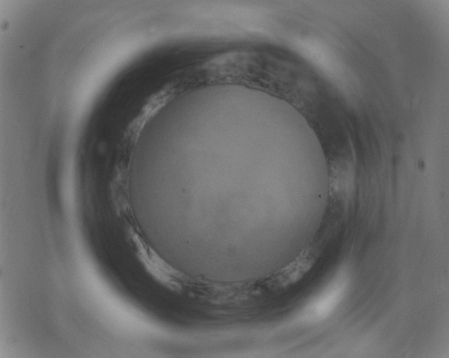 X0000076100431200610061711