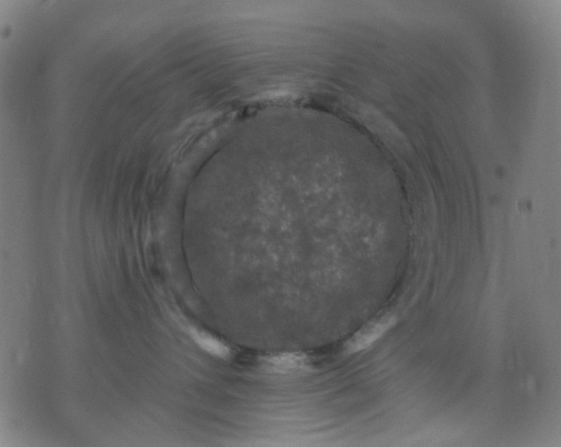 X0000076100432200610061711