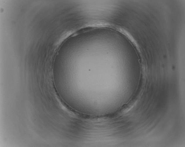 X0000076100433200610061710