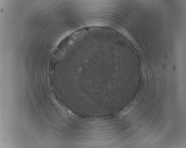 X0000076100434200610061710