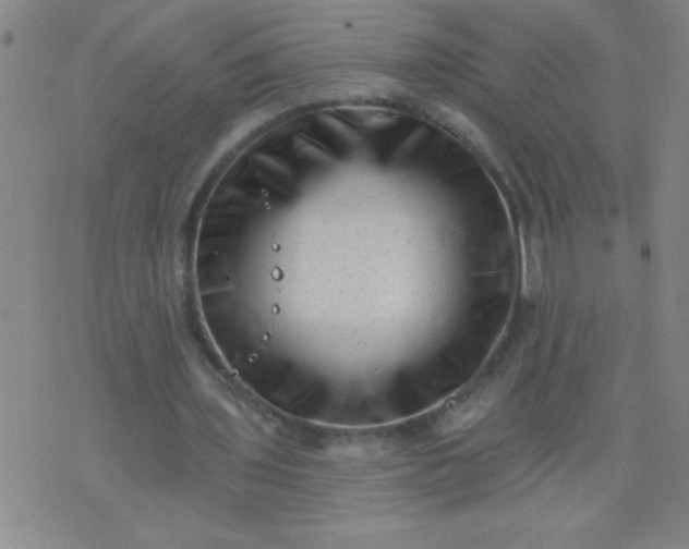 X0000076100435200610061710