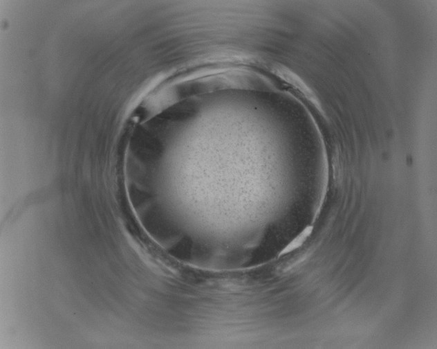 X0000076100436200610061710