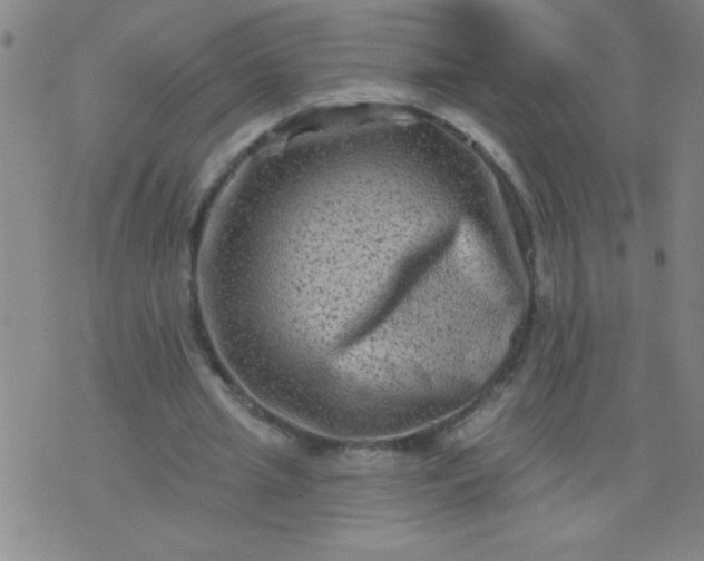 X0000076100437200610061710