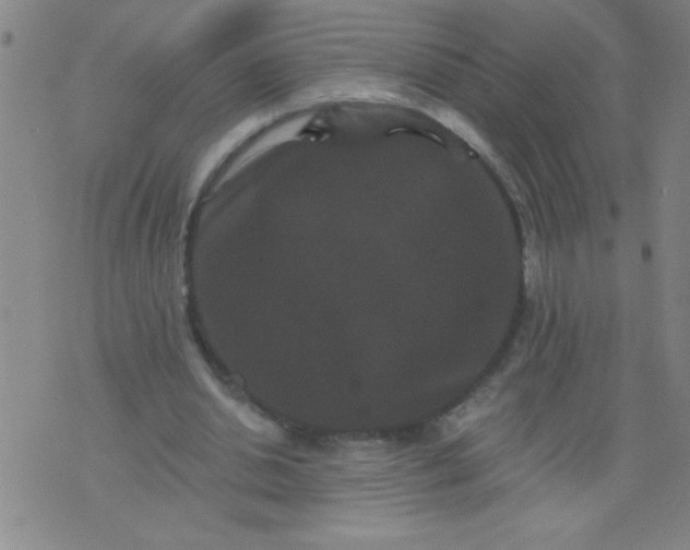 X0000076100438200610061710