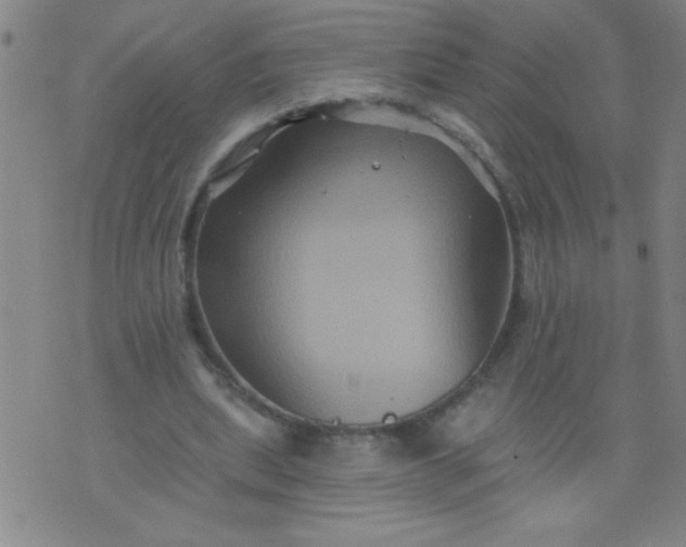 X0000076100439200610061710