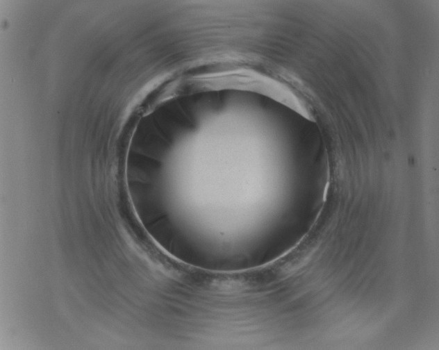 X0000076100440200610061710