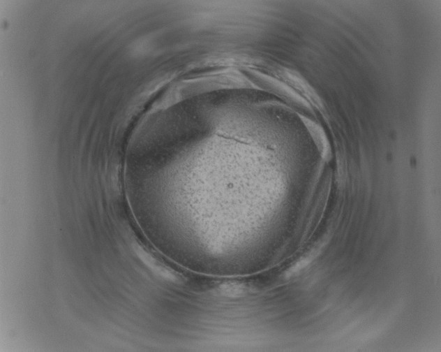 X0000076100441200610061710