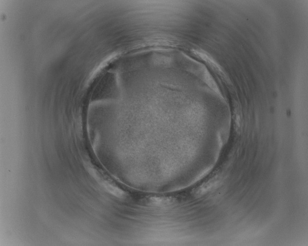 X0000076100442200610061710