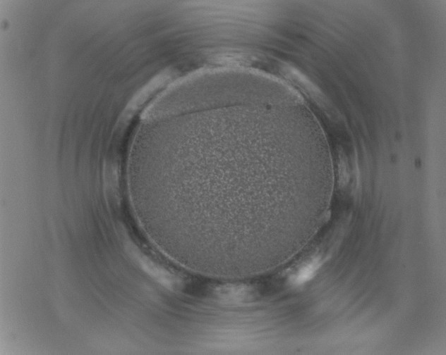 X0000076100444200610061711