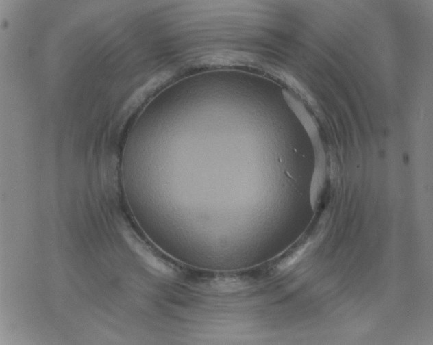 X0000076100445200610061711