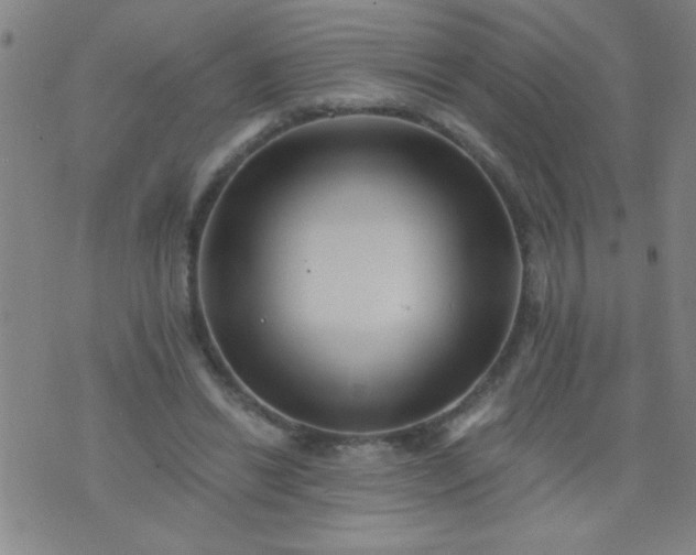 X0000076100446200610061711