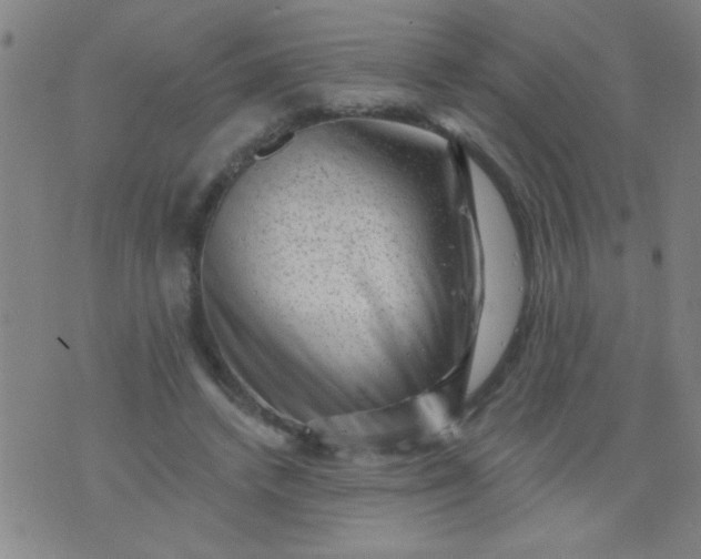 X0000076100448200610061711