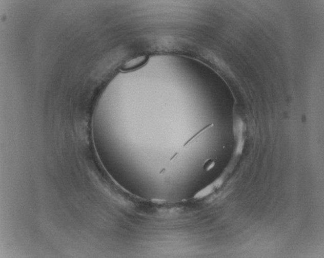 X0000076100450200610061711