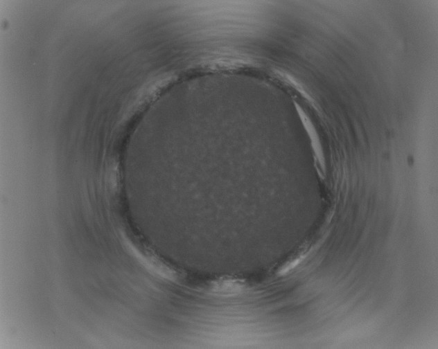 X0000076100451200610061711