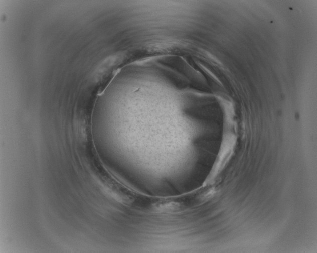 X0000076100452200610061711