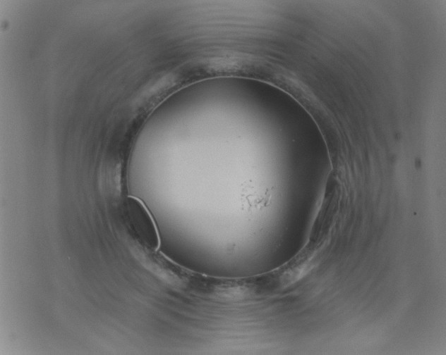 X0000076100454200610061711