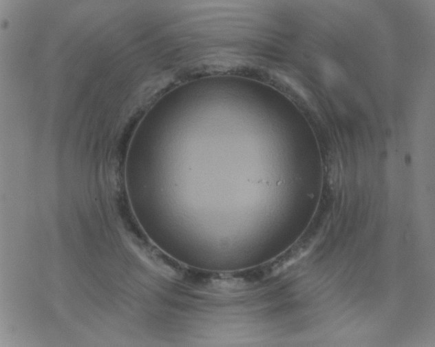 X0000076100455200610061711