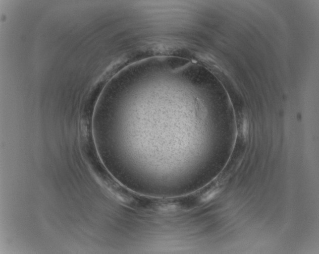 X0000076100456200610061711