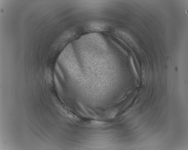 X0000076100457200610061711