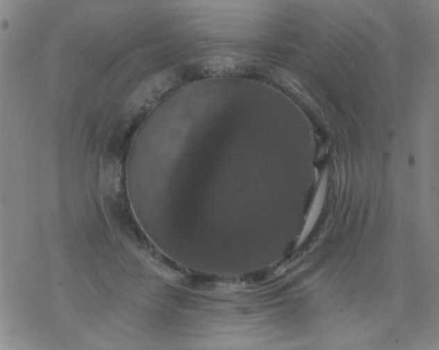 X0000076100458200610061711