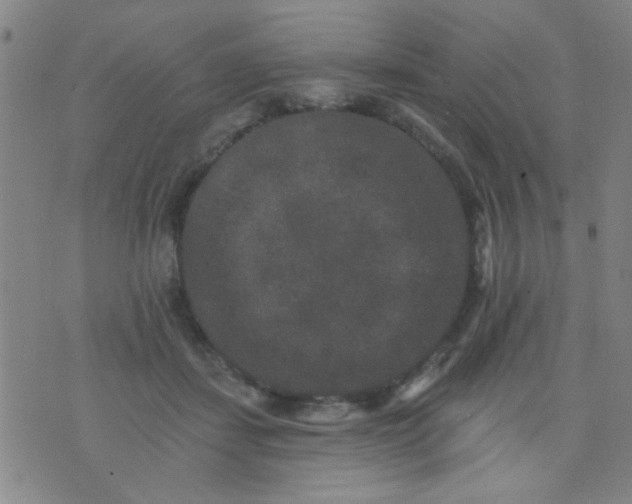 X0000076100459200610061711