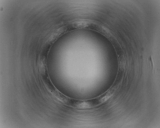 X0000076100460200610061711