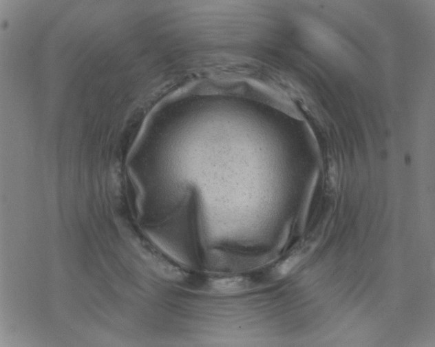 X0000076100461200610061711