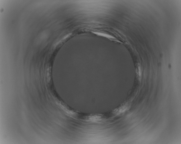 X0000076100462200610061711