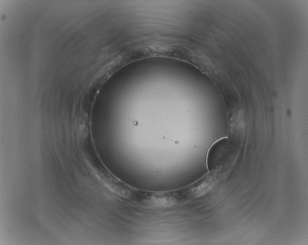 X0000076100464200610061711